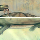 Illustration for article titled This colossal prehistoric turtle could snap emother turtles/em in half